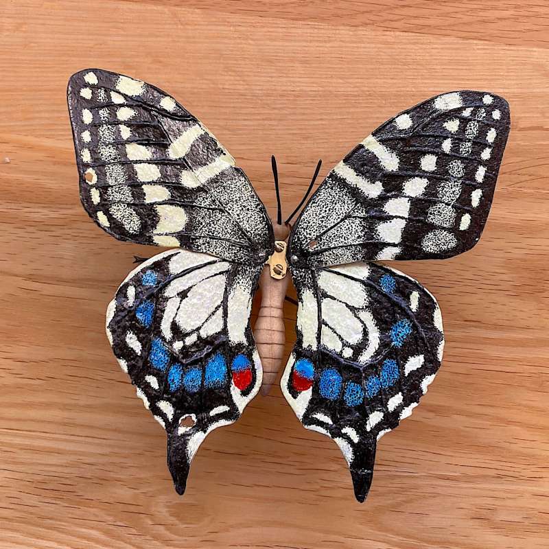 Swallow Tail II